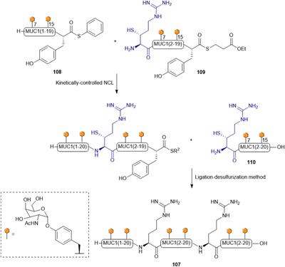 Synthetic Thiol and Selenol Derived Amino Acids for Expanding the Scope of Chemical Protein Synthesis